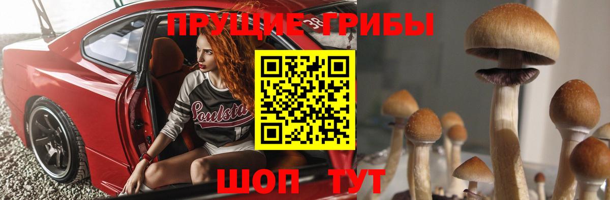 Галлюциногенные грибы мухоморы  Вход с VPN  Кизилюрт 