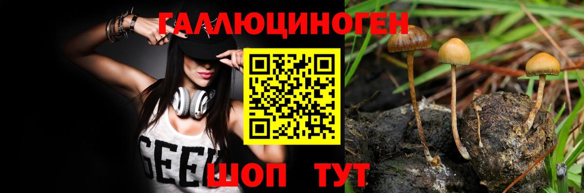 Галлюциногенные грибы GOLDEN TEACHER Кизилюрт